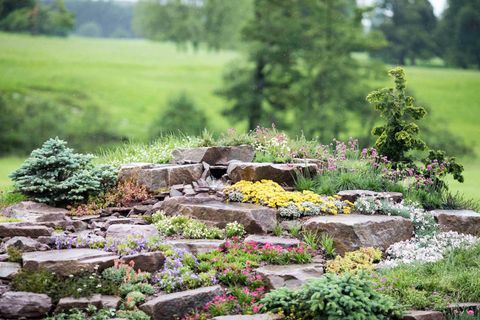 RHS Chatsworth Flower Show 2017 hari ini (Selasa 6 Juni 2017) Jackie Knight's Just Add Water