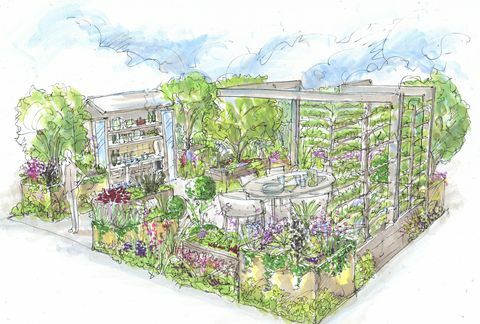 chelsea flower show 2021, taman kotak peterseli yang dirancang oleh alan williams