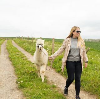 Alpaca Trekking dan Masuk ke Eagle Heights Wildlife Foundation untuk Dua Orang