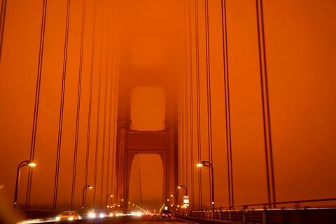 kebakaran hutan jembatan golden gate