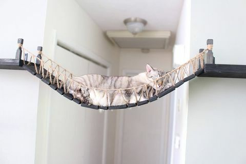 Jembatan kucing bertali dari Etsy