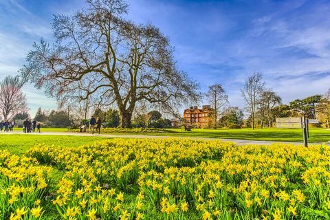 Bakung di musim semi di Royal Botanic Gardens Kew