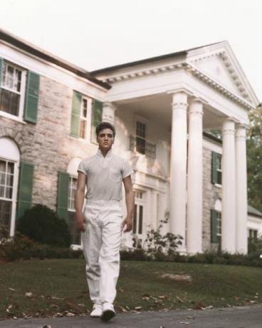 elvis presley di graceland