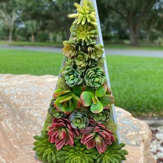 Pohon Natal Faux Succulent