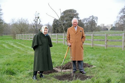 ratu elizabeth ii dan pangeran wales dengan pohon peringatan pertama di pekarangan kastil windsor