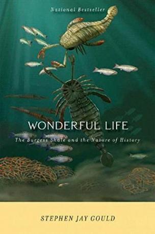 Wonderful Life: Burgess Shale dan Sifat Sejarah