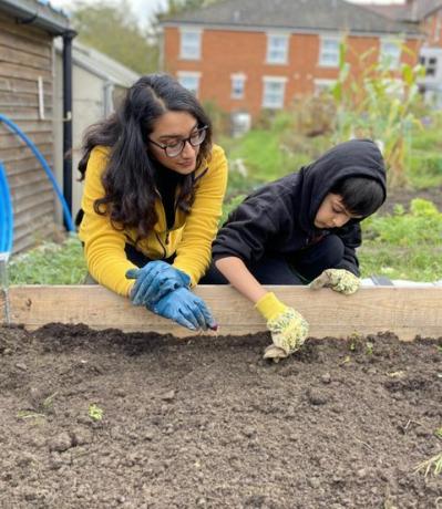 sebidang tanah jatah kebun millenial kiran growal