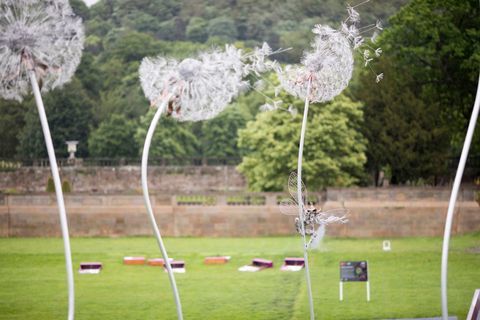 RHS Chatsworth Flower Show 2017 hari ini (Selasa 6 Juni 2017)