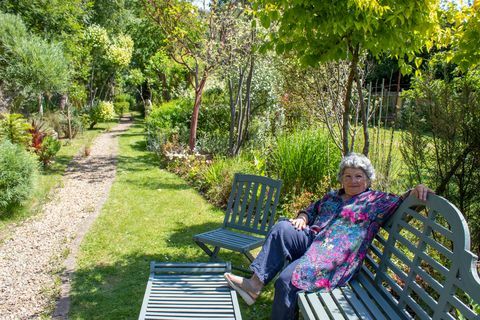 taman tahun ini taman bertema mediterania di utara london bertingkat rumah