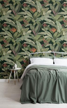 Koleksi Vintage Botanicals oleh MuralsWallpaper, menggunakan lukisan vintage rinci oleh Pierre-Joseph Redouté