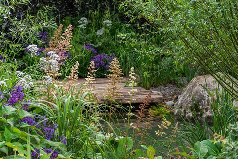 taman rhs untuk masa depan hijau yang dirancang oleh jamie butterworth hampton court palace garden festival 2021