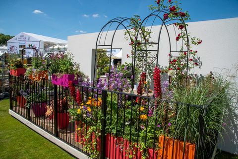 chelsea flower show 2022 taman balkon