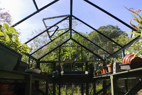 Interior Garden Greenhouse dengan Ventilasi Pembukaan Atap Otomatis, Inggris