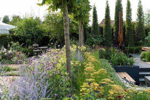 Terbaik dari Kedua Dunia - RHS Hampton Court Palace Flower Show 2018