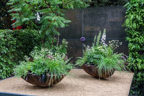 rhs chelsea flower show 2021 taman kontainer