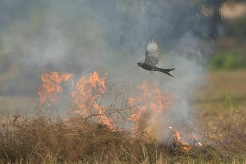 kompetisi fotografi rhs 2021