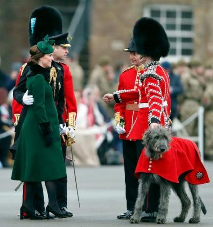 pangeran william dan kate middleton st patrick's day