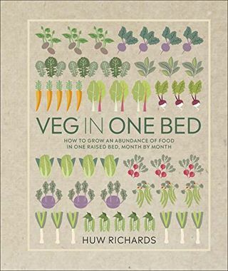 Vegetarian dalam Satu Tempat Tidur: Cara Menumbuhkan Kelimpahan Makanan di Satu Tempat Tidur Bertingkat, Bulan demi Bulan