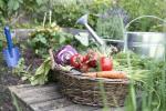 5 tweak kebun yang akan meningkatkan kesehatan mental dan kesejahteraan Anda