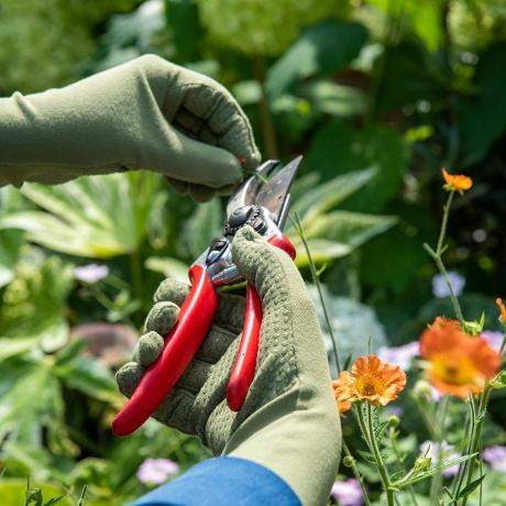 Sarung tangan berkebun sehari-hari