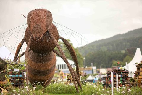 RHS Chatsworth Flower Show 2017 hari ini (Selasa 6 Juni 2017) Kompetisi Sekolah RHS - Hotel Bug