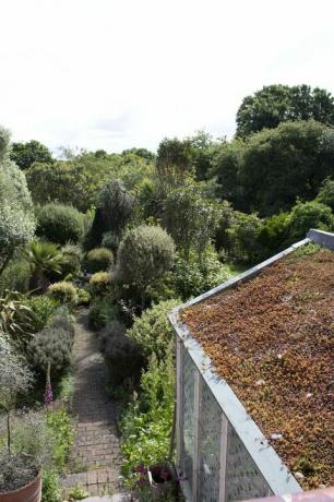 more4's garden of the year penantang taman mediterania di utara london