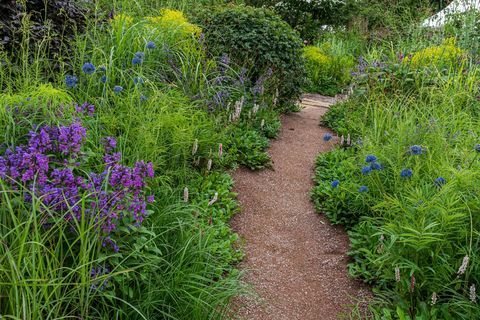 taman rhs untuk masa depan hijau yang dirancang oleh jamie butterworth hampton court palace garden festival 2021