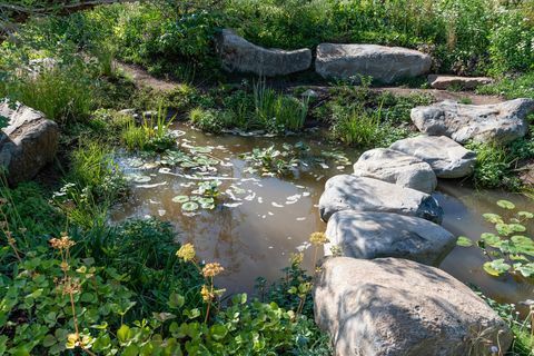 Taman Ulang Tahun ke-30 Countryfile. Dirancang oleh: Ann-Marie Powell. Fitur Taman. Pertunjukan Bunga RHS Hampton Court Palace 2018