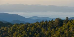 Taman Nasional Pegunungan Great Smoky