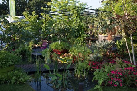 ‘B&Q Bursting Busy Lizzie Garden’ - RHS Hampton Court Palace Flower Show 2018