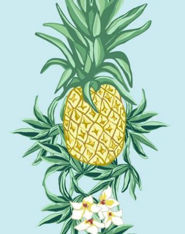Pineapple Express oleh Nathan Turner - Sky