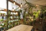 Airbnb dan Pantone berkolaborasi di rumah 'Di Luar' Greenery di London