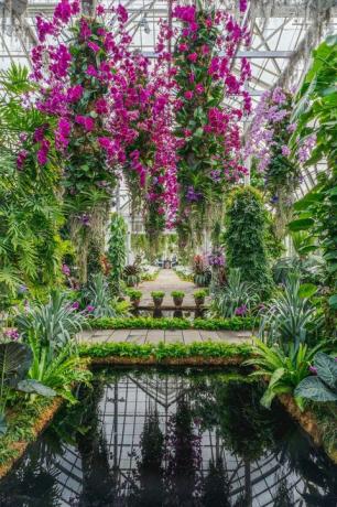 pertunjukan anggrek. kaleidoskop jeff leatham kebun raya new york bronx