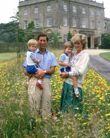 tetbury, inggris 14 juli pangeran charles, pangeran wales dan diana, puteri wales berpose dengan putra mereka pangeran william dan pangeran harry di padang rumput bunga liar di highgrove pada 14 Juli 1986 di tetbury, inggris foto oleh tim graham photo library via getty gambar-gambar