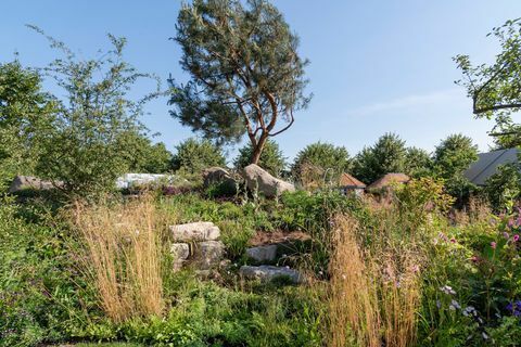 Taman Ulang Tahun ke-30 Countryfile. Dirancang oleh: Ann-Marie Powell. Fitur Taman. Pertunjukan Bunga RHS Hampton Court Palace 2018