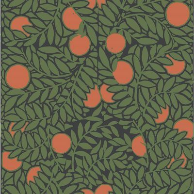 Orange Grove di Forest / Orange Removable dan Wallpaper yang Dapat Diposisikan Ulang