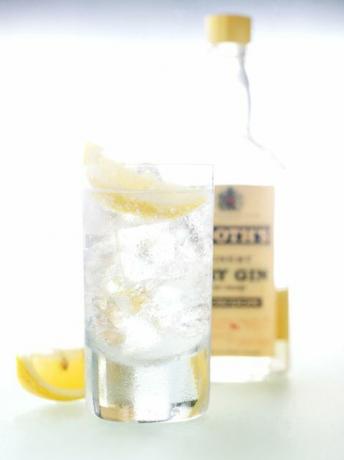 Segelas gin dan tonik dengan botol gin Booth