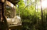 Rumah pohon yang luar biasa ini adalah daftar Airbnb yang paling dicari di dunia
