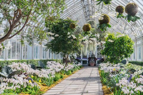 pertunjukan anggrek. kaleidoskop jeff leatham kebun raya new york bronx