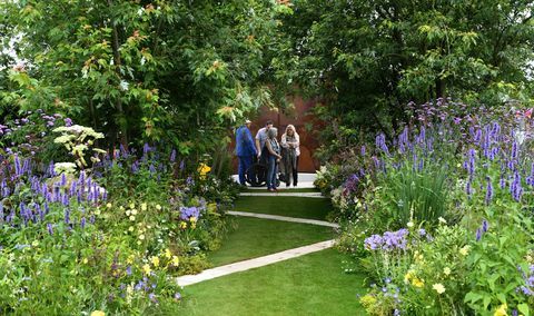 london, england 04 juli tampilan umum pada peluncuran pertunjukan bunga rhs hampton court di hampton court palace pada 4 juli 2016 di london, england foto oleh stuart c wilsongetty images