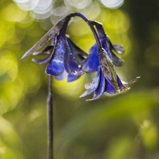 Patung Taman Logam Daur Ulang Buatan Tangan Bluebell