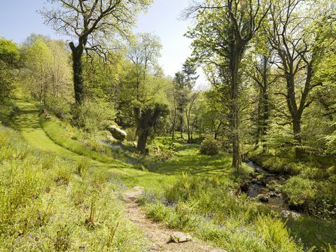 Salah satu tempat tinggal negara Dartmoor terbaik untuk dijual