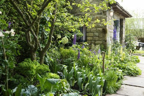 Chelsea Flower Show 2019 - Selamat datang di taman Yorkshire oleh Mark Gregory