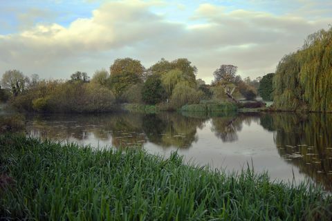 Matahari terbit bulan Oktober di tanah Foots Cray Meadows, di samping Jembatan Lima Lengkungan di atas Sungai Cray di Bexley, Kent, Inggris