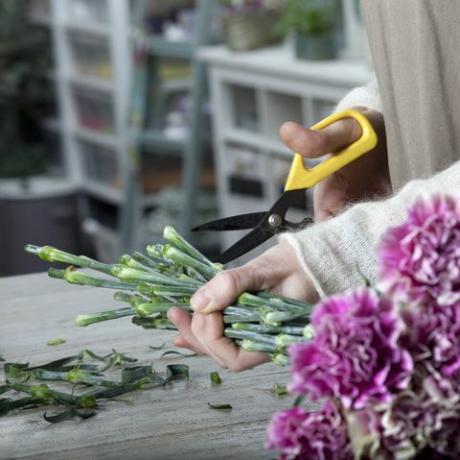 florist memotong bunga dengan gunting pangkas