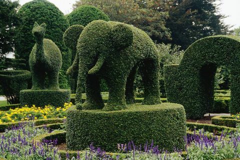 gajah topiary