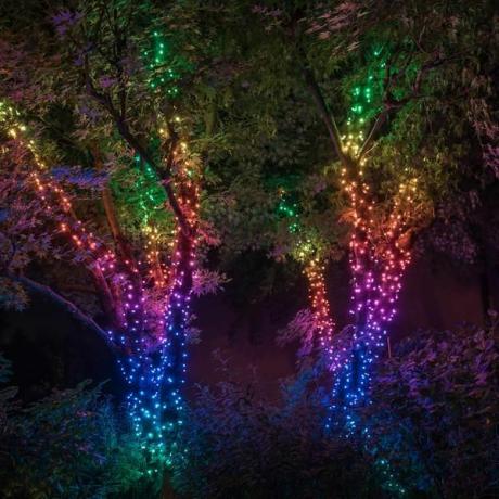 32m 400 LED Twinkly Smart App Controlled String Lights Edisi Khusus