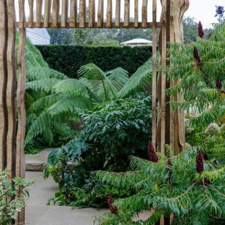 rhs chelsea flower show 2021 taman suaka