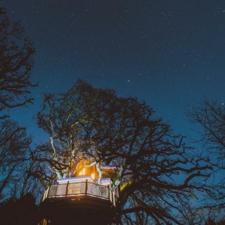 Treetops Treehouse - Devon - malam - Kanopi & Bintang