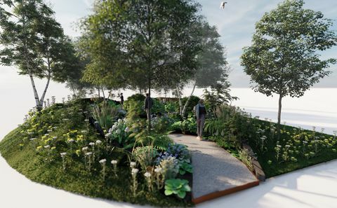 taman pemandian hutan rhs, taman fitur rhs, dirancang oleh dave green, festival taman istana rhs hampton court 2022